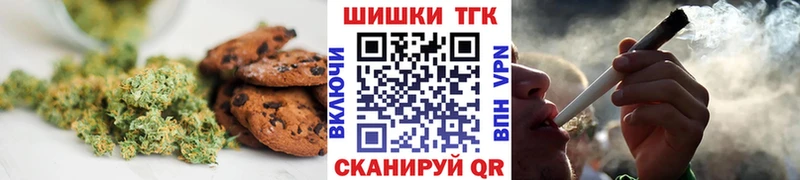 Canna-Cookies марихуана  Купить закладки  Сосновоборск