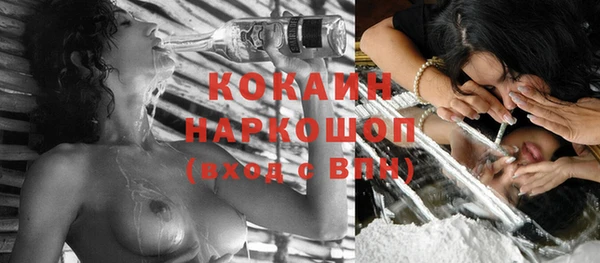 прущие грибы Тында