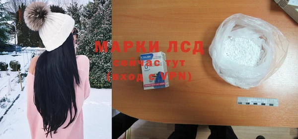 прущие грибы Тында